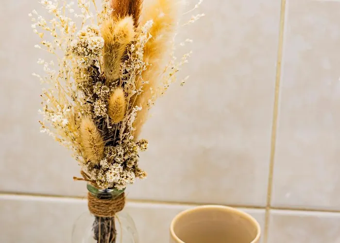 L'escale Tourangelle - Proche De La Gare *