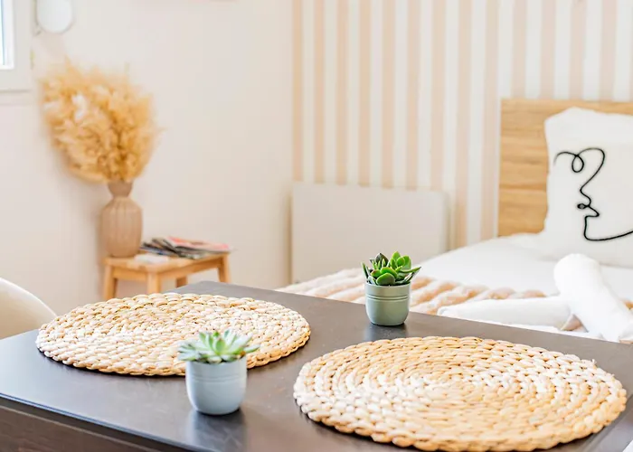 L'escale Tourangelle - Proche De La Gare Daire *